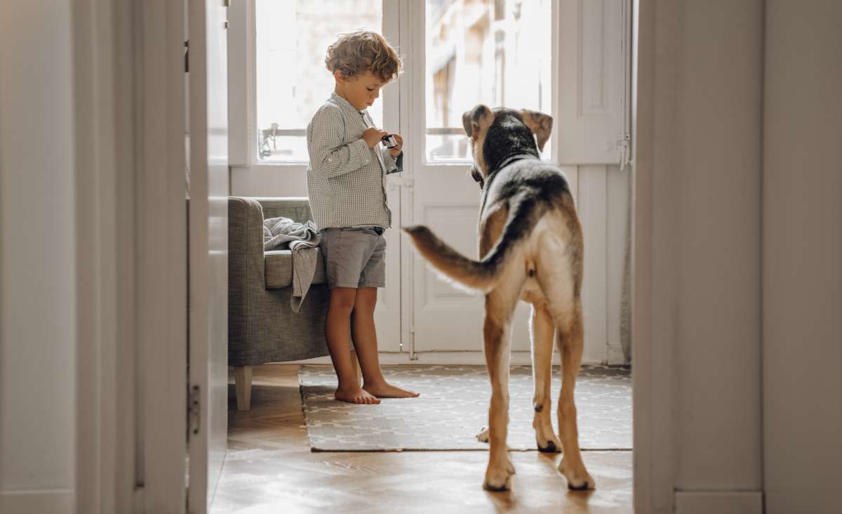 Tyverialarm med hund i hjemmet